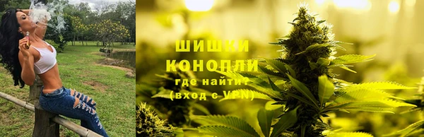 spice Верхний Тагил